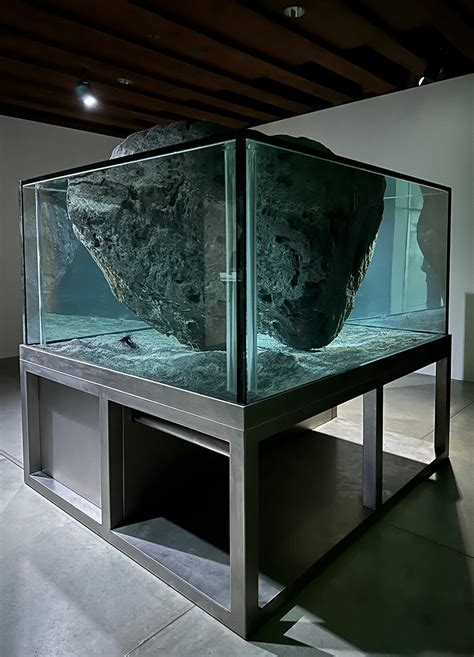 pierre huyge venice louis vuitton|For Punta della Dogana, French artist Pierre Huyghe will create .